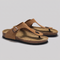 Bruin